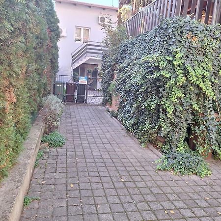 New Studio Apartment Emmy With Free Street Parking Ζάγκρεμπ Εξωτερικό φωτογραφία